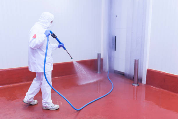 Best House Exterior Washing  in Rochester, NY